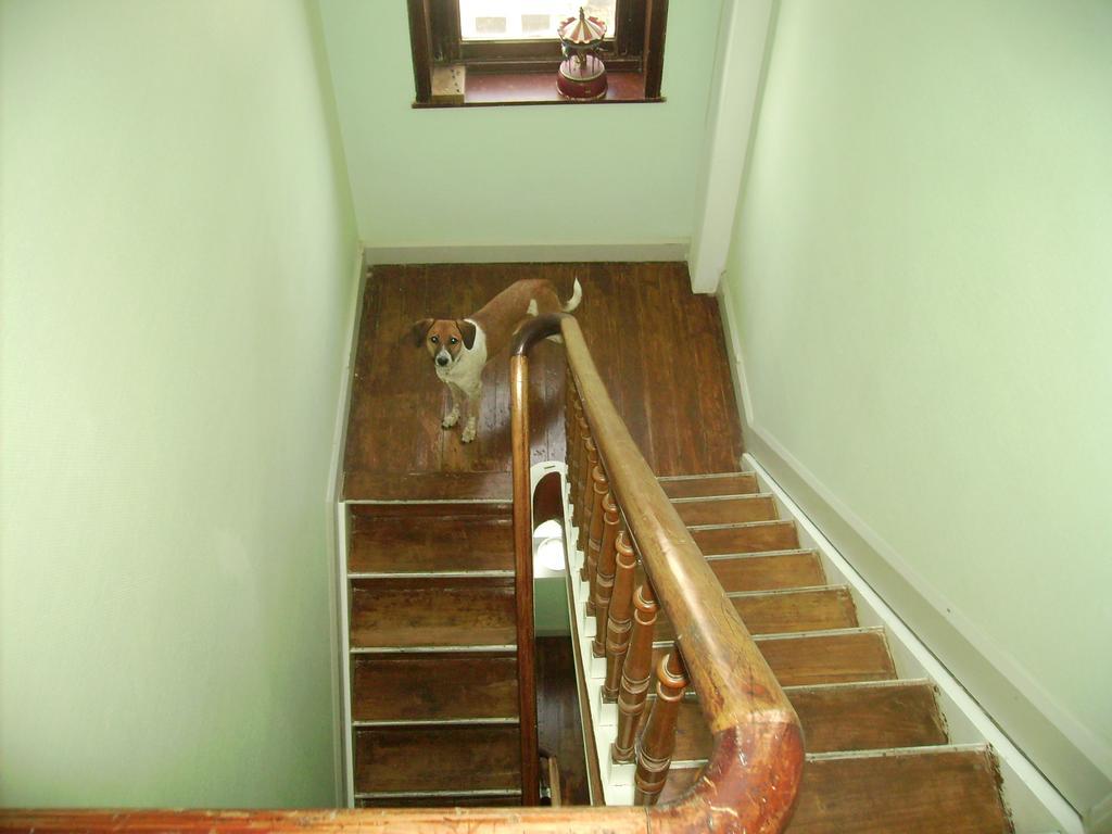 Villa Olga Blankenberge Zewnętrze zdjęcie